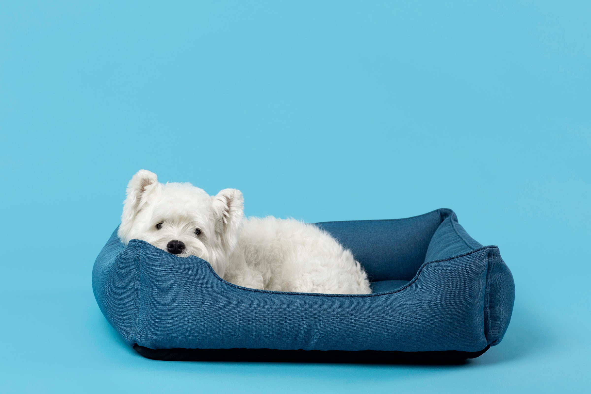 Cozy Pet Beds