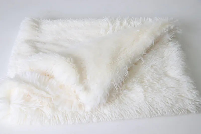 Double Layer Plush Pet Blanket for Dogs and Cats