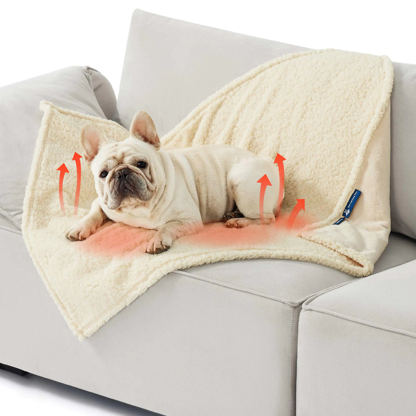 Bedsure Self Warming Blanket for Medium Dogs - Medium Cat Waterproof Blanket Washable for Couch Protection Sherpa Fleece Puppy Blanket Soft Plush Reversible Throw Furniture Protector 30"X40" White