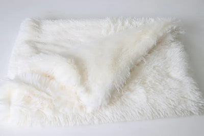 Double Layer Plush Pet Blanket for Dogs and Cats