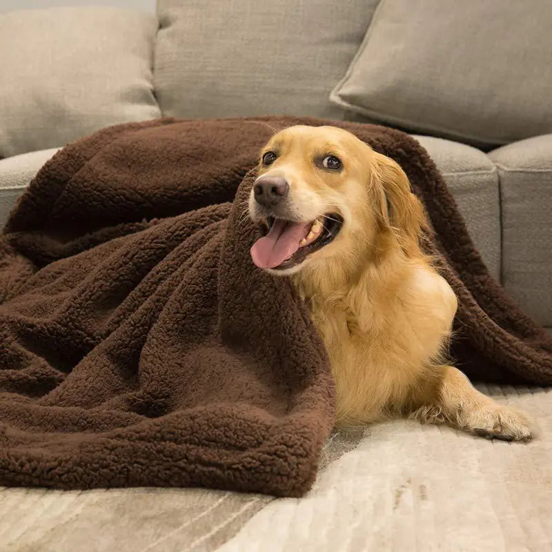 Plush Pet Blanket and Mat for Dogs and Cats